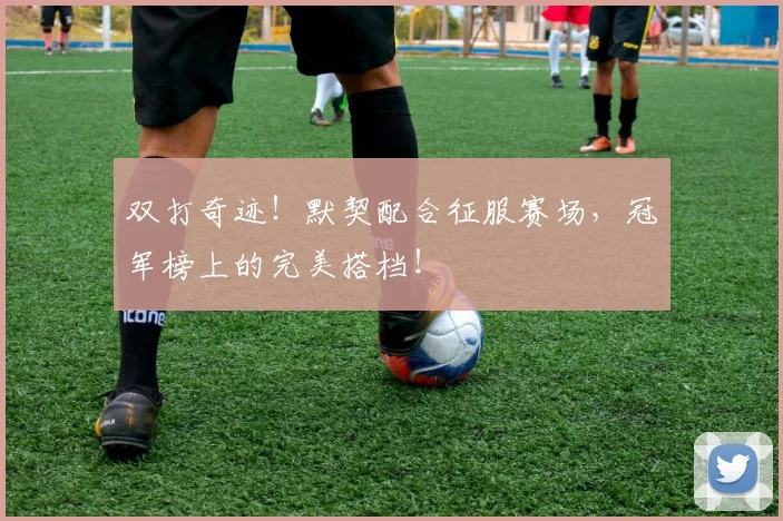 双打奇迹！默契配合征服赛场，冠军榜上的完美搭档！