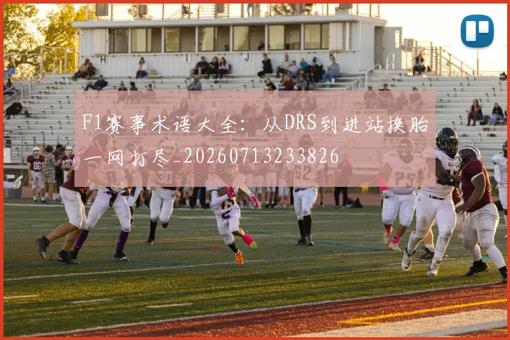 F1赛事术语大全：从DRS到进站换胎一网打尽_20260713233826