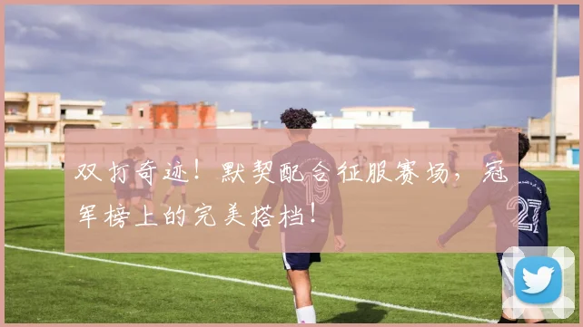 双打奇迹!默契配合征服赛场,冠军榜上的完美搭档!